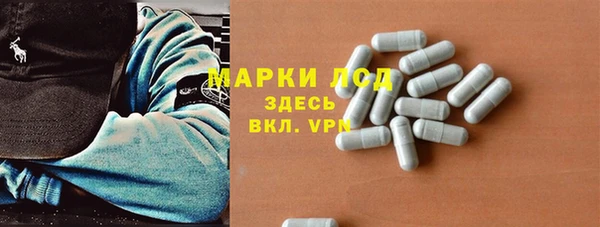 СК Сафоново