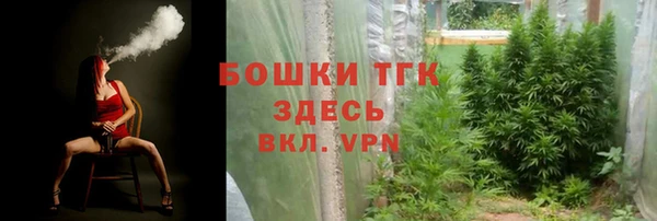 СК Сафоново