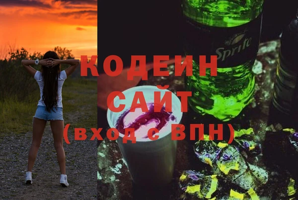 СК Сафоново