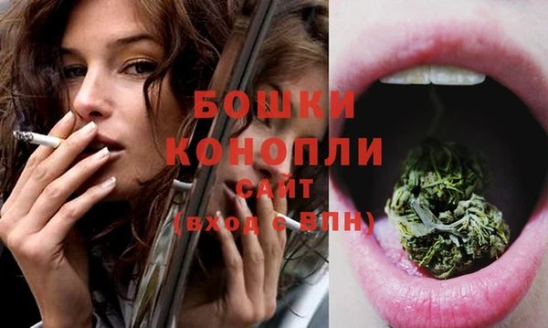 дживик Сатка