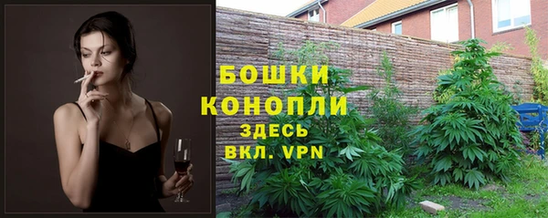 СК Сафоново