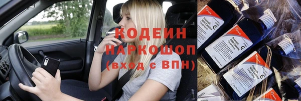 СК Сафоново