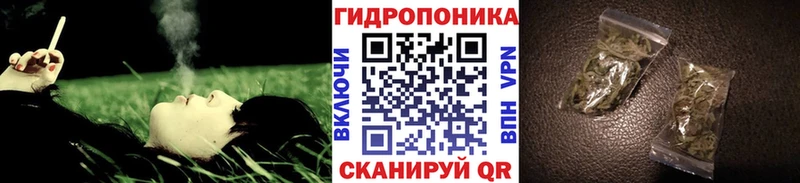 Бошки марихуана Bruce Banner  Купить где  Кисловодск